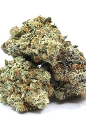 Three Queens Weed Strain