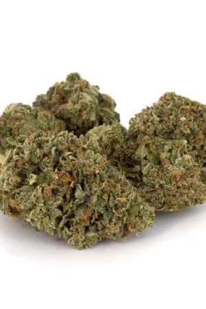 Pink OG Cannabis Strain