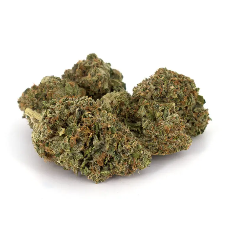 Pink OG Cannabis Strain