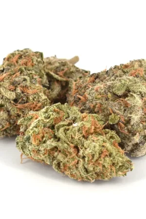 Bruce Banner Weed Strain