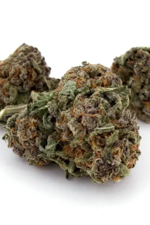 Purple Passion Weed Strain