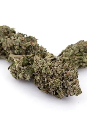 Lindsay OG Weed Strain