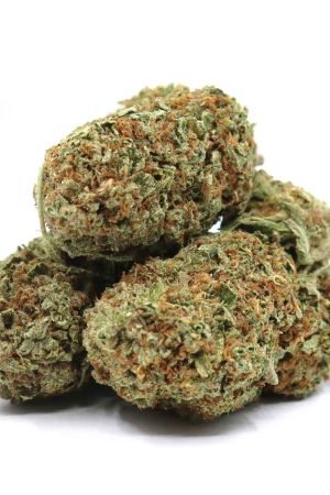 Tom Ford Pink Kush Marijuana
