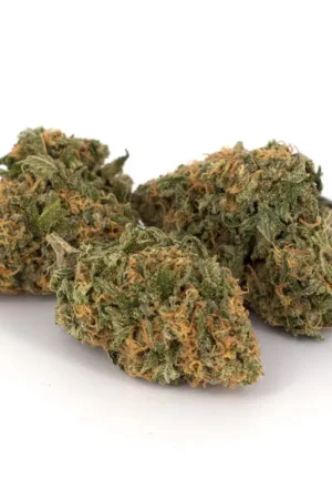 McGrupp Cannabis Strain