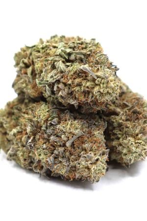 Black Rhino Marijuana Strain