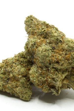 Sunset Sherbert Cannabis Strain