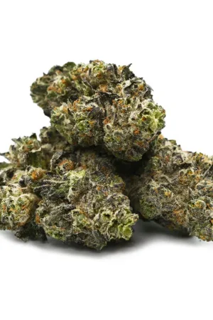 King Cap Marijuana Strain