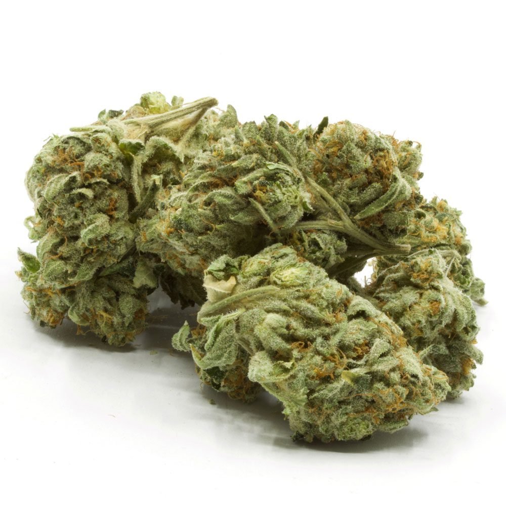 Frosty Gas Marijuana Strain