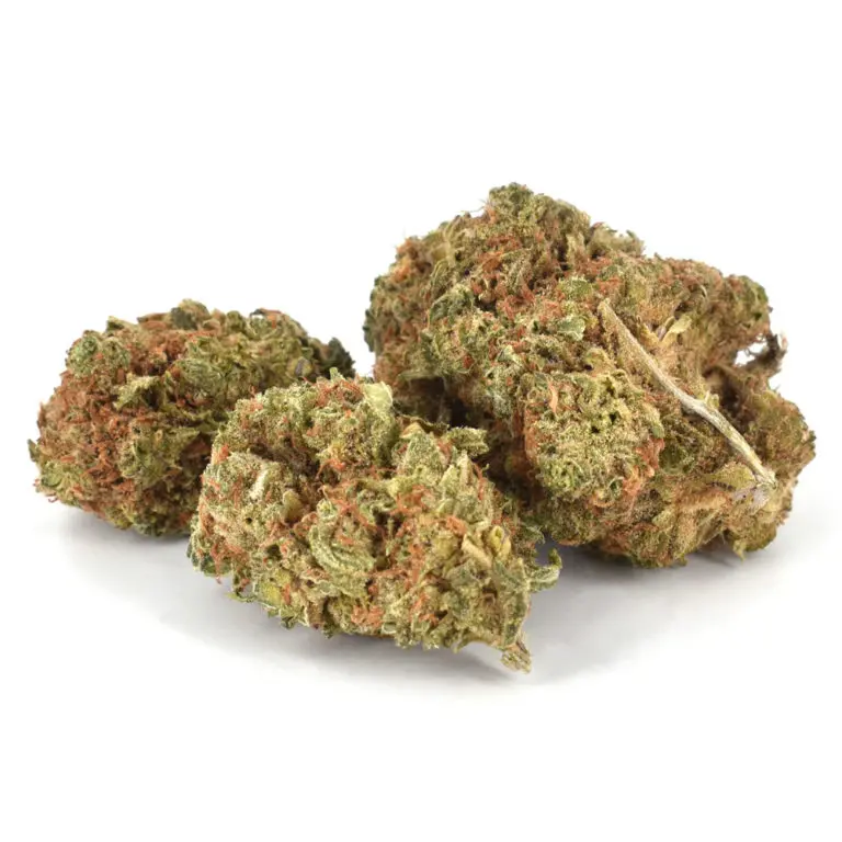 Sherbert Marijuana Strain