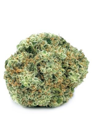 Donkey Breath Cannabis Strain