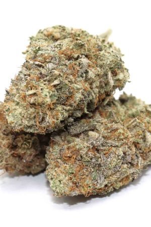 Jetlato Weed Strain