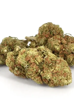 Trainwreck Marijuana Strain