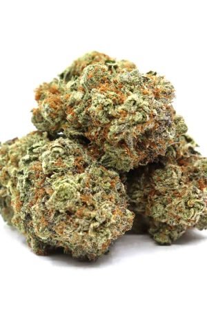 Jungle Cake Marijuana Strain