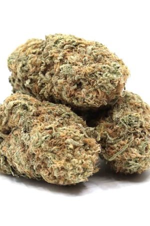 Girl Scout Cookies Marijuana