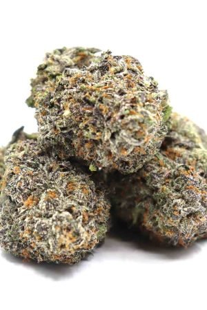 Black Milk Cannabis Strain