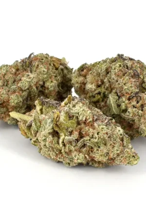 Miracle Alien Cookies Marijuana