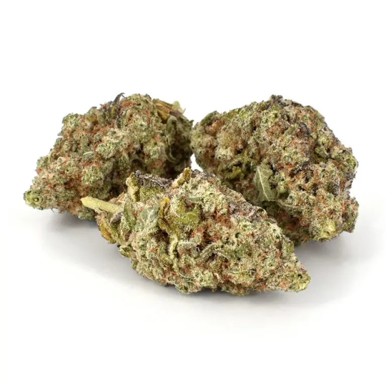 Miracle Alien Cookies Marijuana