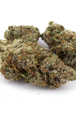 White Death Weed Strain