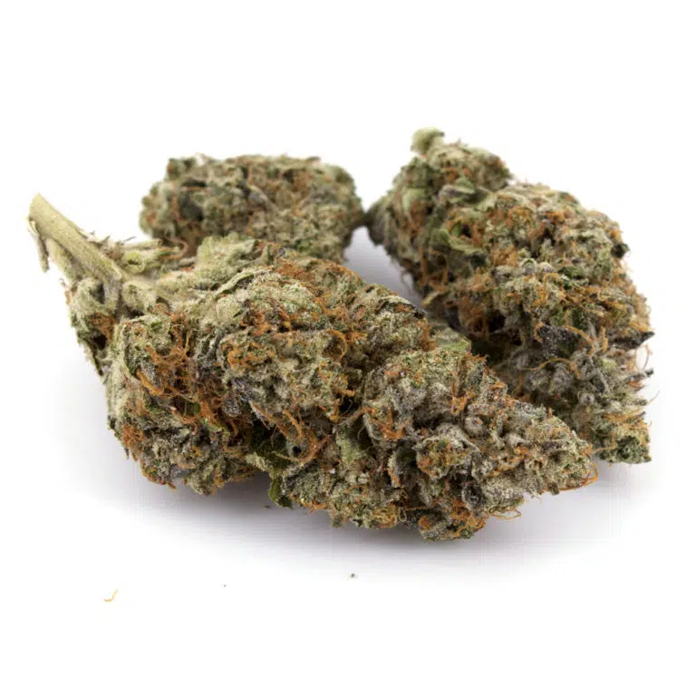 White Death Weed Strain