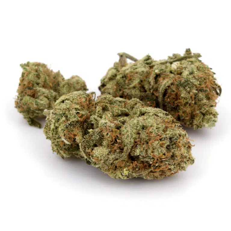 Incredible Hulk Marijuana Strain
