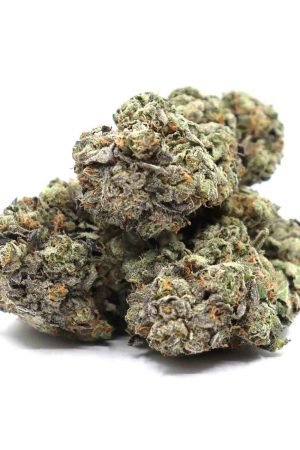 El Jefe Weed Strain