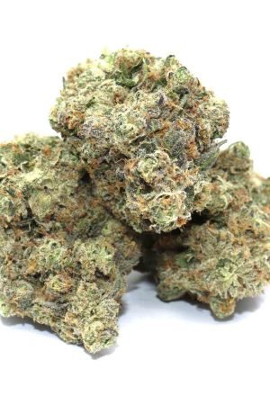 Ghost Train Haze Weed Strain