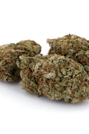 God’s Green Crack Marijuana
