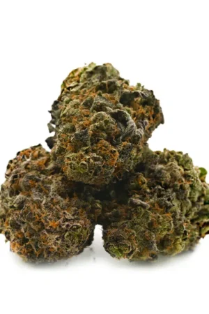 UK Cheese Weed Strain