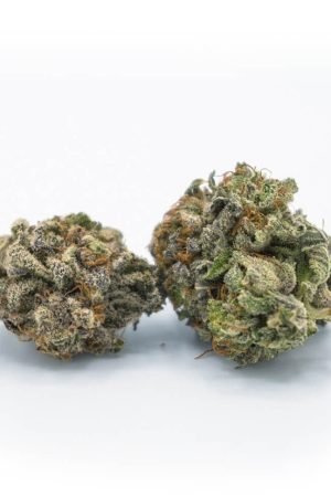 Holy Grail OG Marijuana Strain