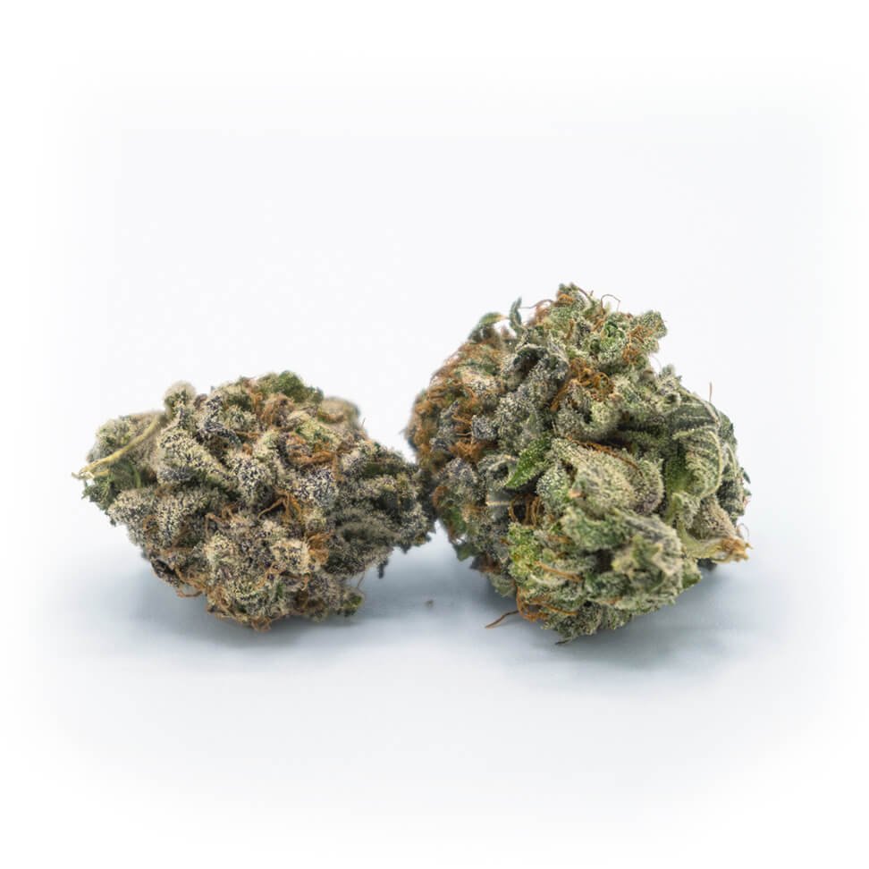 Holy Grail OG Marijuana Strain