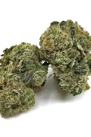 Papaya OG Marijuana Strain