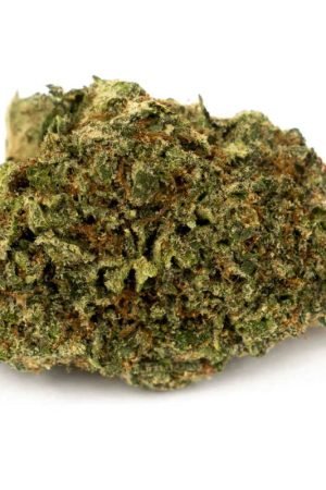 King Louie Cannabis Strain