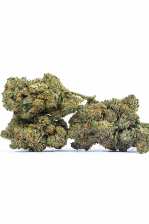 Ace of Spades Marijuana Strain