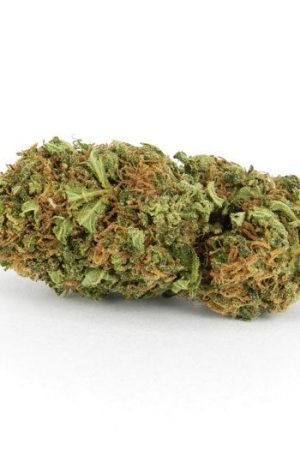 Sunkiss Weed Strain