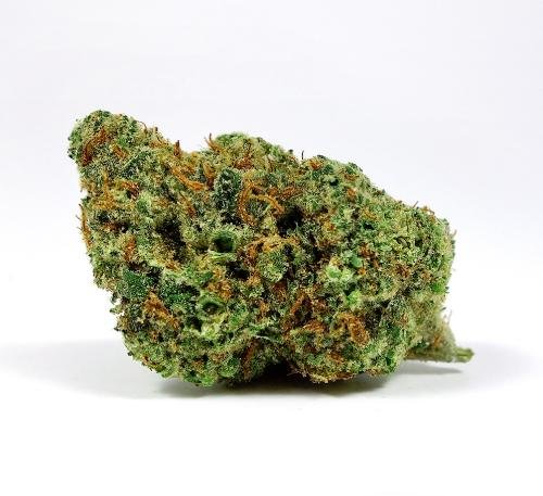 Cheetah Piss Weed Strain