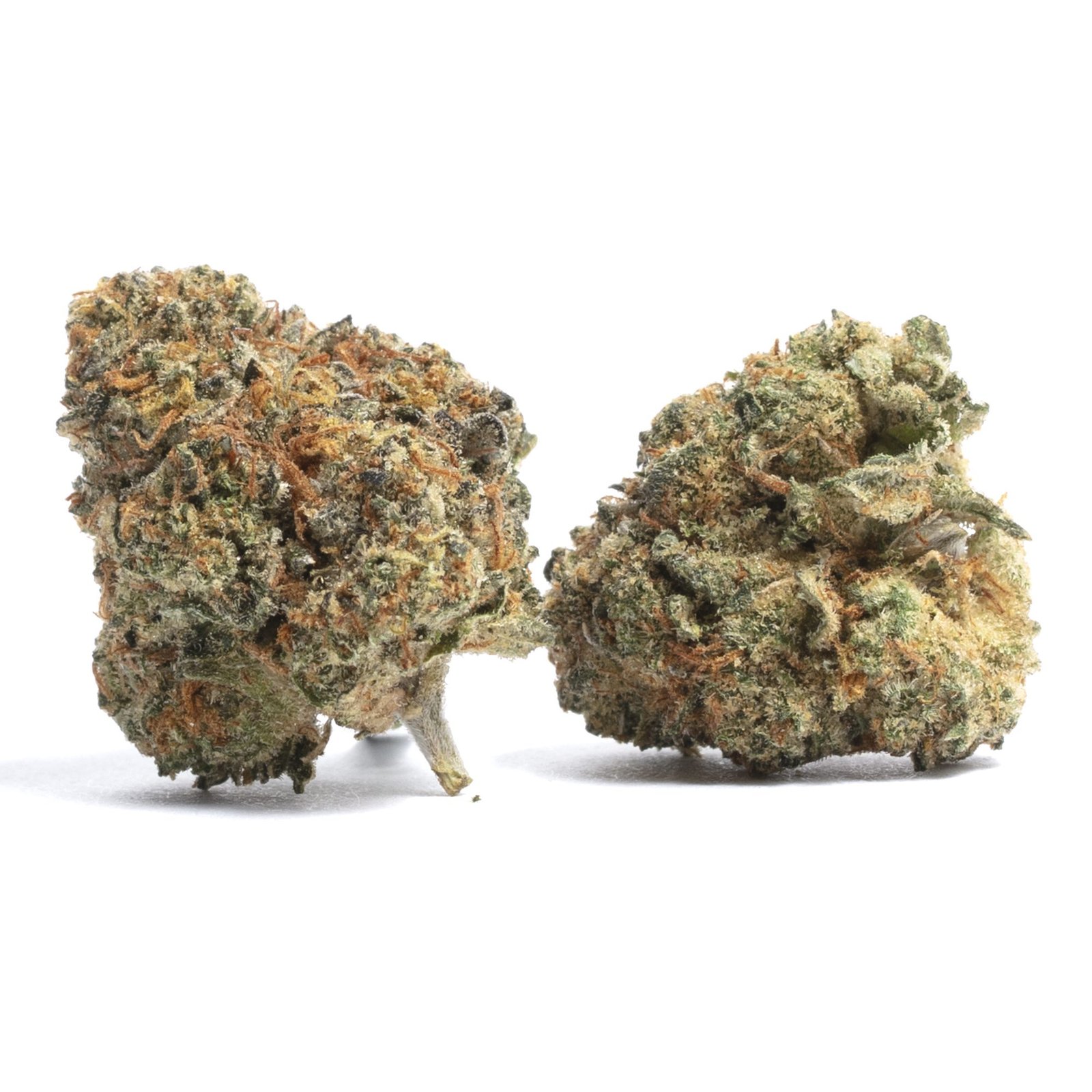 Sugar Cookie Weed Strain