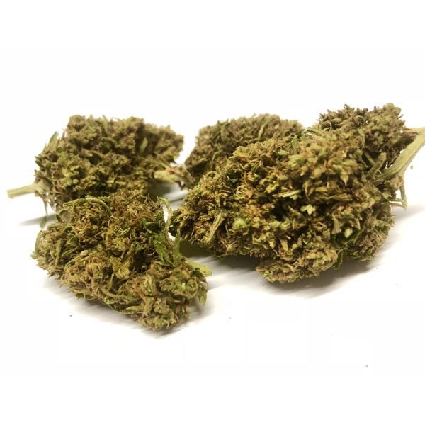 Temple Weed Strain