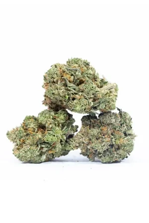 Hardcore OG Cannabis Strain
