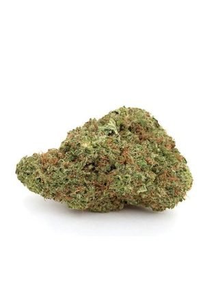 Hawaiian Haze Cannabis Strain