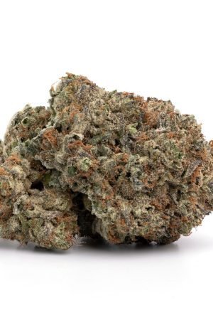 Mystery 98 Marijuana Strain