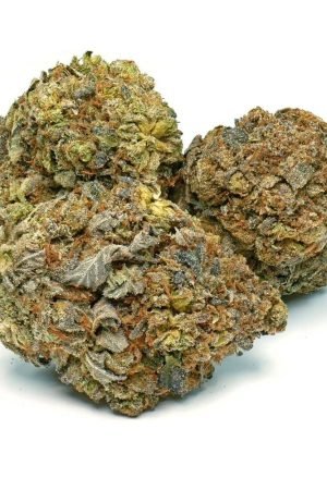 Nemesis Marijuana Strain