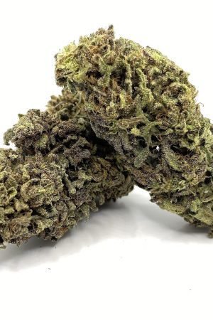 Lifter CBD Marijuana Strain
