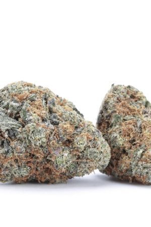 Crescendo Marijuana Strain