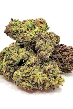 Abacus Marijuana Strain