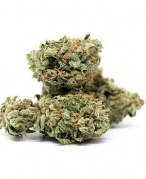 Agent Orange Weed Strain