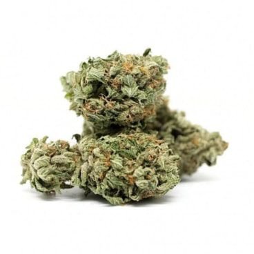 Agent Orange Weed Strain