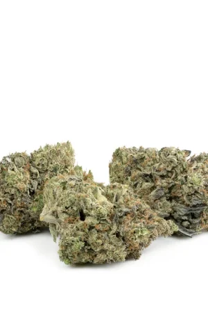 Gator Breath Weed Strain
