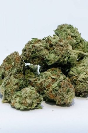 Cherry Wine Marijuana Strain