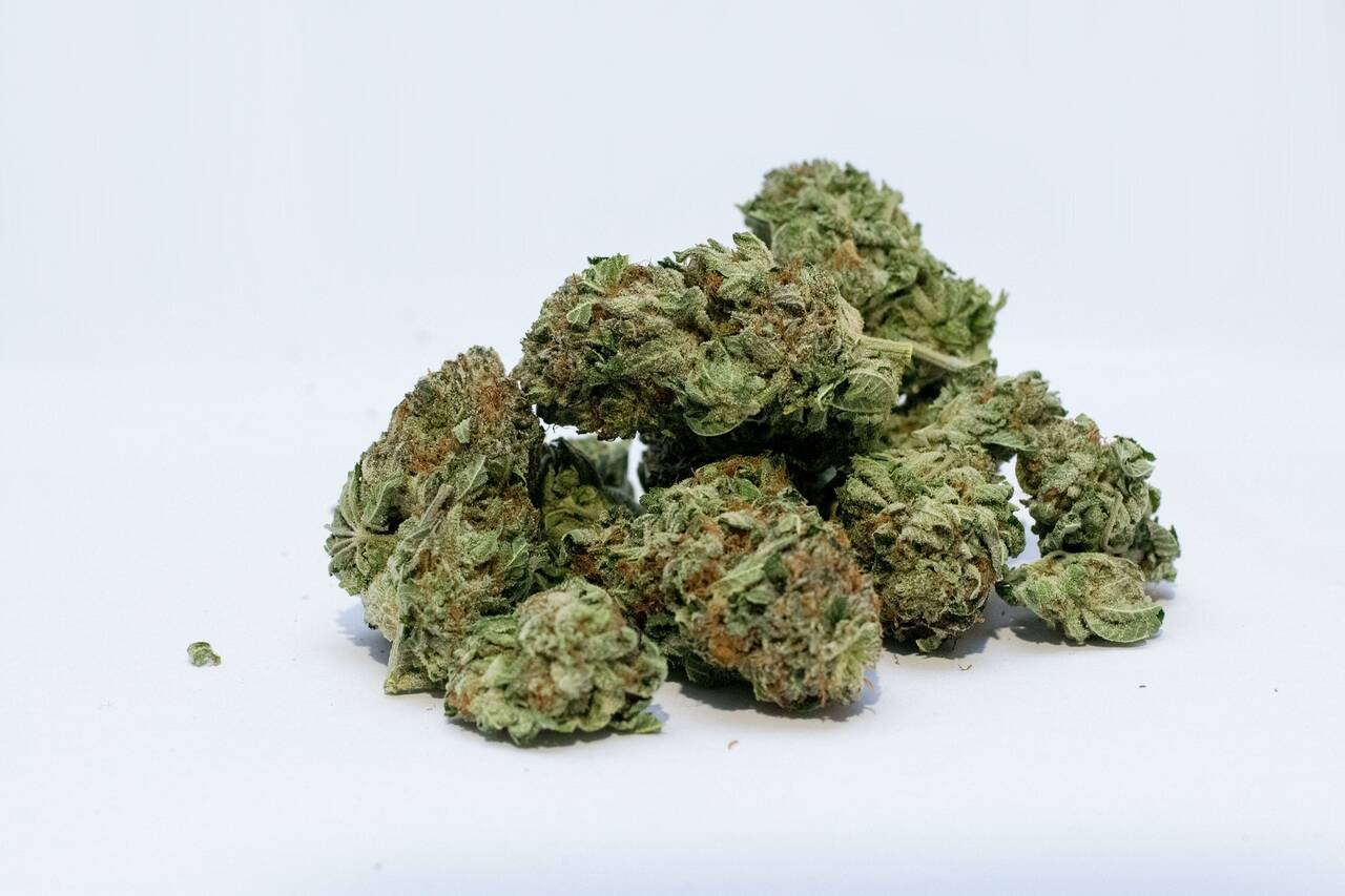 Cherry Wine Marijuana Strain