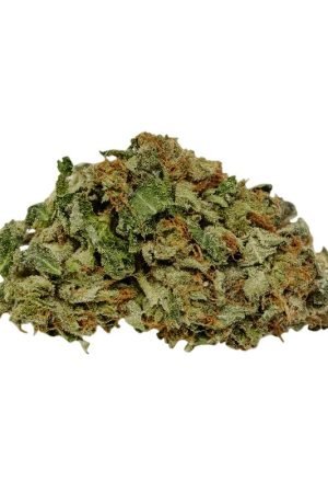 Cherry Cheesecake Cannabis Strain